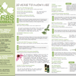 FREE-Herbs-for-Animals-Printable-Chart-by-the-Herbal-Academy-of-New-England-